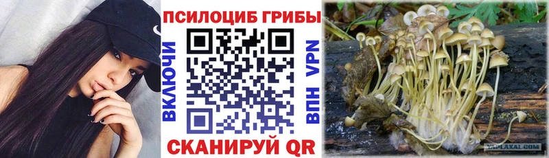 наркота  Завитинск  Галлюциногенные грибы Magic Shrooms 